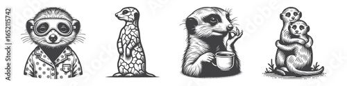 Vintage Hand-Drawn Meerkat Illustration, Wearing Pajamas Engraved Vector for Cozy and T-Shirt Design