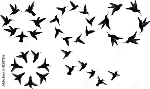 Hummingbird set  silhouette vector illustration, humming birds hummingbird logo vector icon illustration, Colibri flying bird silhouette,  silhouette vector illustration on white background