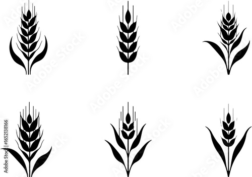 Wheat Silhouette Vector Collection
