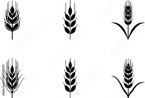 Wheat Silhouette Vector Collection