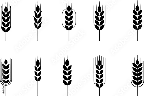 Wheat Silhouette Vector Collection