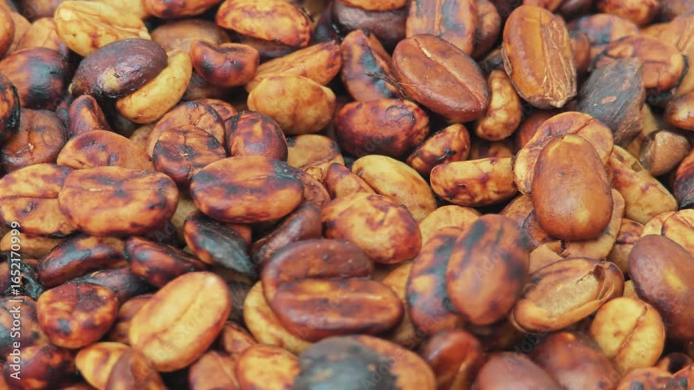 dried cocoa bean for chocolate dried cocoa bean for chocolate