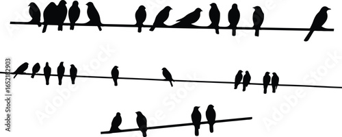 Silhouettes of birds sitting on wires. Wildlife, Vector illustration of birds sitting on a wire on white background. Birds perched wire silhouette
