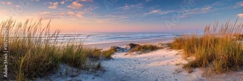 Sunrise beach scene with dunes and grasses