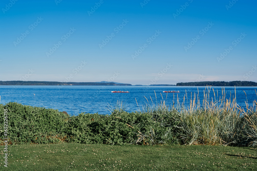 Fototapeta premium Two red rowing boats glide across the calm ocean near Sidney, Vancouver Island, with green grass and coastal plants in the foreground.