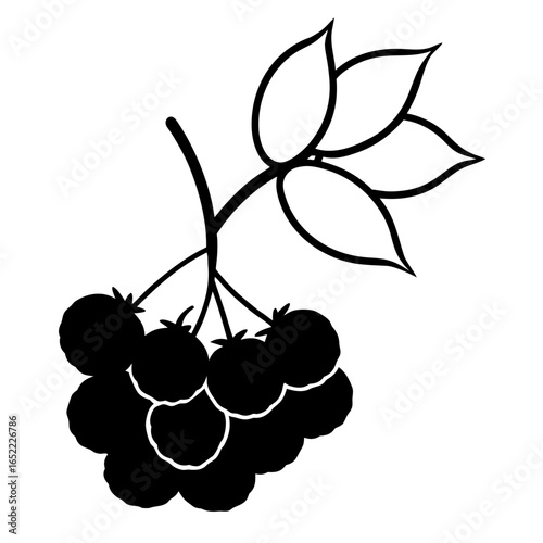 Frozen berries line art vector illustration