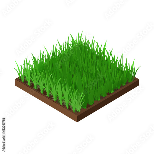 Cut Out Green Grass Field Isolated On Transparent Backgrounds
