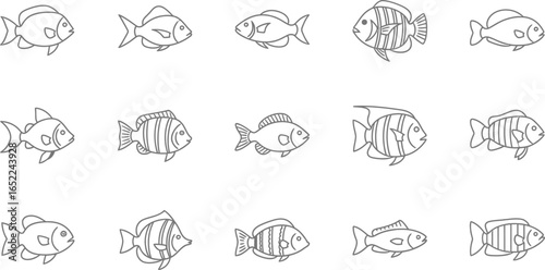 Vector art of a collection of handdrawn line art illustrations of various fish species, showcasing different shapes, sizes, and patterns