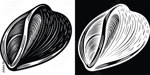 Elegant sunflower seed vector art with striking black and white contrast for modern design projects