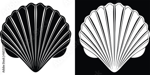 Elegant seashell icon in contrasting black and white, perfect for coastal designs and nautical themes