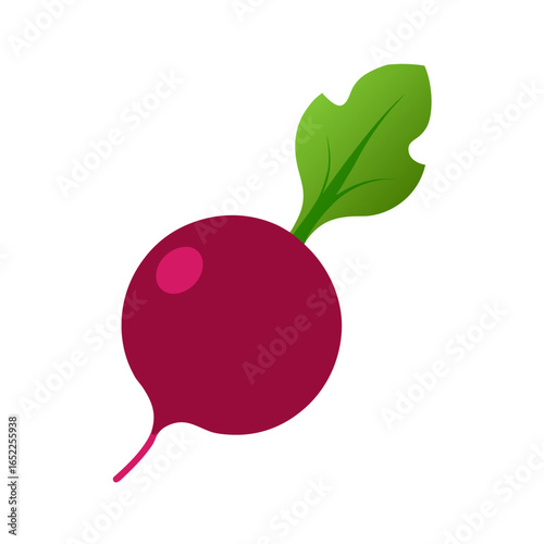 red radish isolated on white