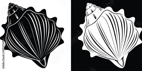 Elegant black and white seashell designs create a striking graphic contrast for ocean themed projects