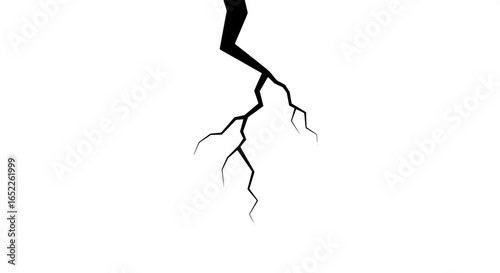 Crack Vector A Striking Visual Resource for Damage and Fracture Simulations in 1000002983.svg Style