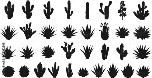 Silhouette collection of cactus and succulent plant icons, desert flora vector set for botanical design, nature illustration, gardening, landscaping, and decoration themes