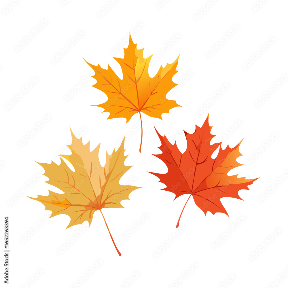 Fototapeta premium Psd Maple Leafs Trees Colours Vibrant Autumn Seasonal Cut Out Transparent Backgrounds