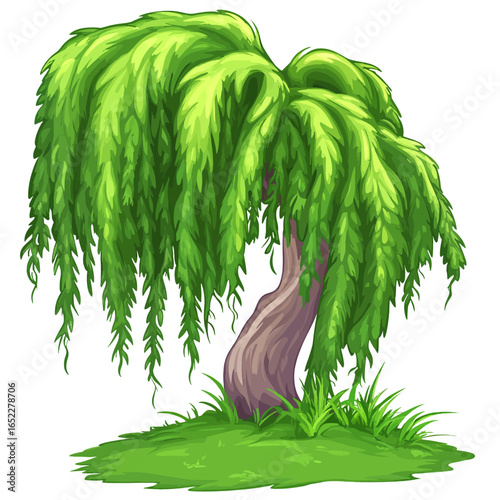 Chestnut tree vector 