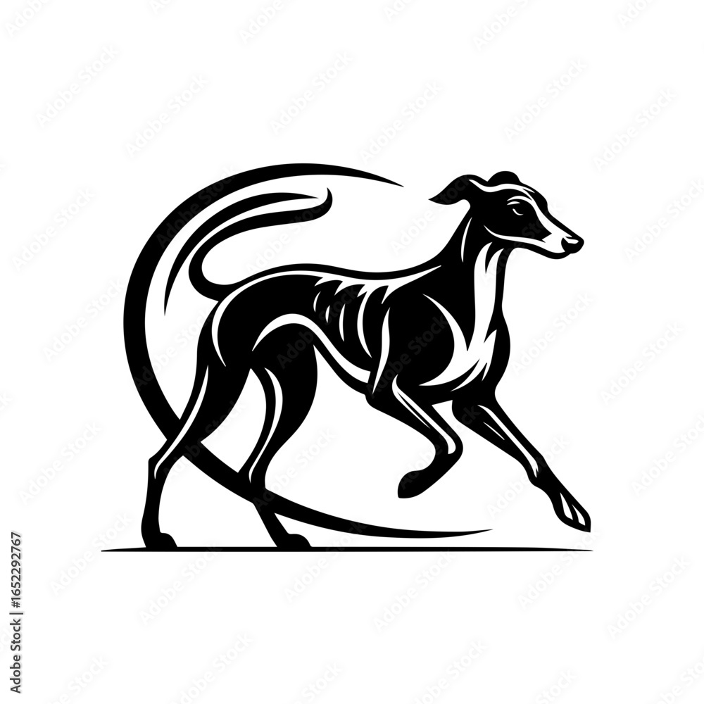 Obraz premium Elegant greyhound dog running silhouette isolated on white background