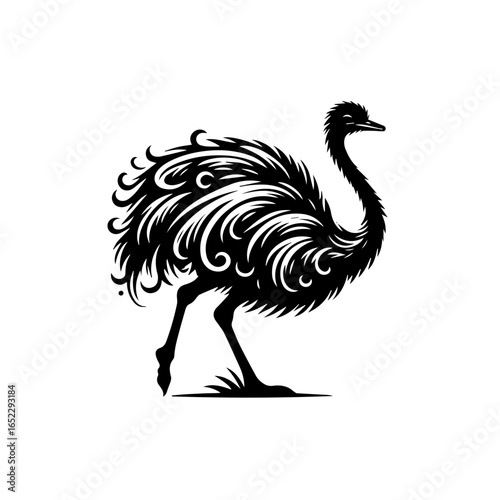 Emu bird illustration isolated on white background, a unique animal design