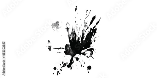 Black ink bl0t isolated on a white background