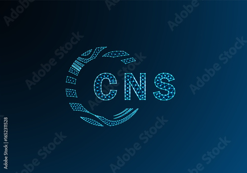 CNS low poly letter logo vector design. CNS lower poly logo design. CNS unique low poly logo design.