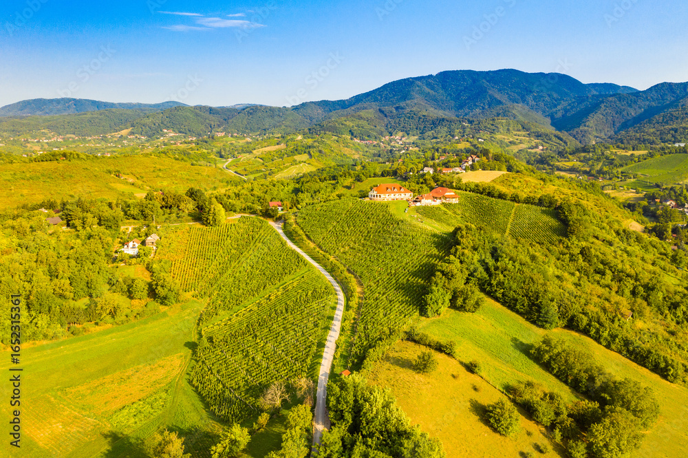 Obraz premium Picturesque landscape in Plesivica in Croatia, popular Croatian wine region and tourist destination