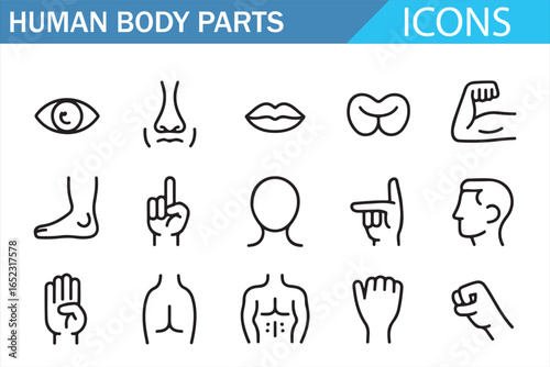 Human Body Parts Icons: Eye, Nose, Lips, Hands, Arm, Foot, and More