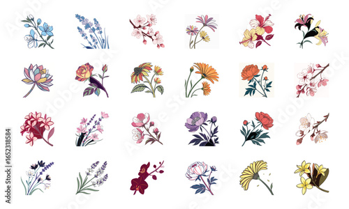 Set of 24 Beautiful Colorful Floral Illustrations Featuring Lavender, Lotus, Roses, Daisies, Gerbera, Hibiscus, Lilies, Peonies, Orchids, Cherry Blossoms, and Plumeria Flowers in Elegant Botanical Ar