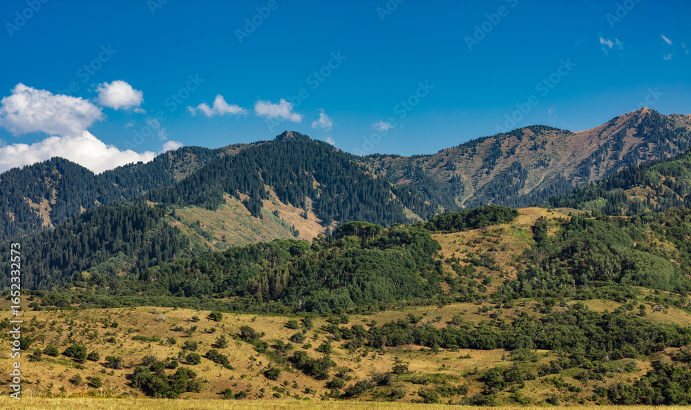 Fototapeta premium mountain landscape in the mountains