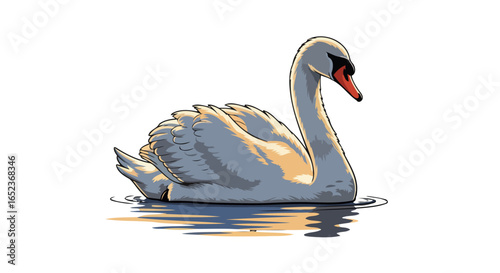 elegant swan transparent background vector illustration for design projects