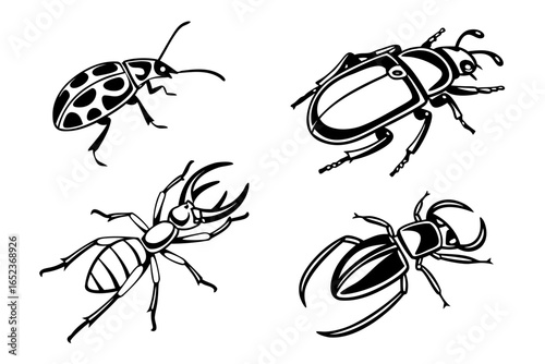 Collection of various insect illustrations isolated on white background