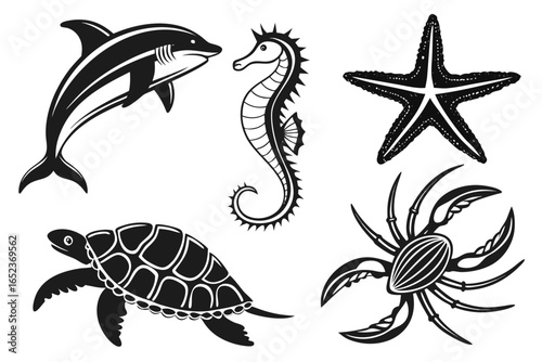 Marine animal icons isolated on white background