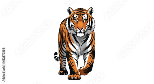 majestic tiger walking forward transparent background for design projects