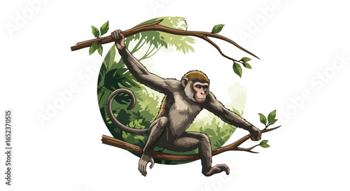 monkey on branches transparent background vector illustration for design