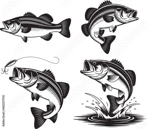 Dynamic Collection of Bass Fish Illustrations in Black and White on Clear Background