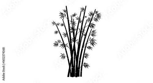 elegant bamboo silhouette transparent background for design projects