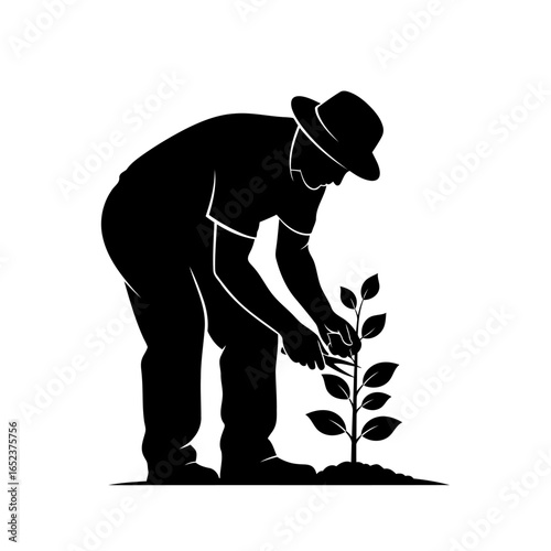 gardener tending sapling a transparent vector illustration