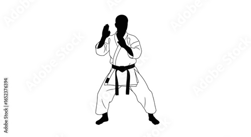 karate master silhouette transparent background vector illustration