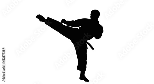 powerful karate kick silhouette transparent background vector illustration