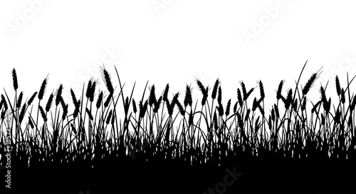 silhouette of wheat field transparent background vector illustration