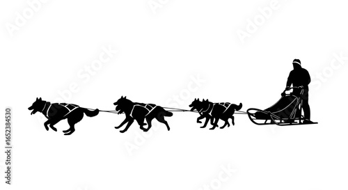 transparent background vector dog sled team racing across the snowy wilderness