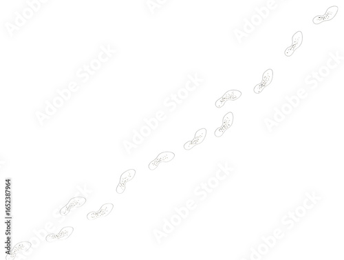 Footprints Trailing Across Dark Expanse isolated on a transparent background shoe prints walking