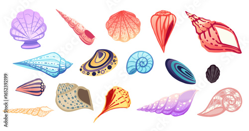 Seashell variety collection. Purple scallop, spiral conch, nautilus, cowrie shells. Colorful mollusks in different shapes and patterns. Ocean treasures for beach themed designs. Vector graphics