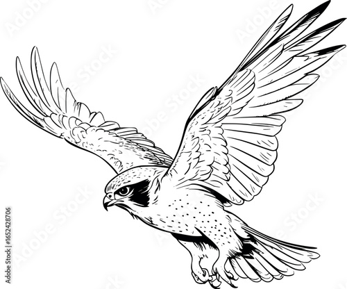 Flying falcon sketch. Speed symbol with open wings, minimalist vector illustration.