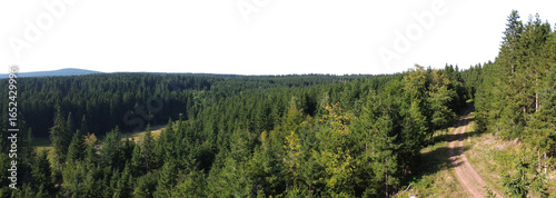 Photography spruce tree forest landscape with sky isolated on white or transparent png