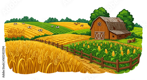Farm scenery barn cornfield wheat grazing cows