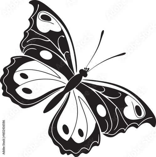 Black and white graphic of a butterfly with detailed wing patterns and antennae insect illustration