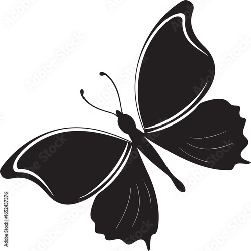 Black silhouette of a butterfly with white curved lines on wings insect