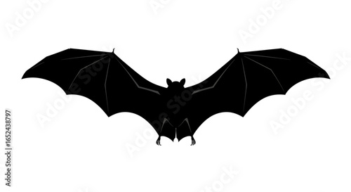A black bat with wings spread isolated against a white background