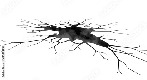 A black shadowy crack in the ground with branching lines spreading outward