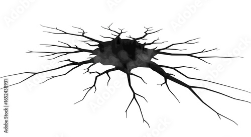 An overhead view of a black shattered void like a cracked surface with radiating branches